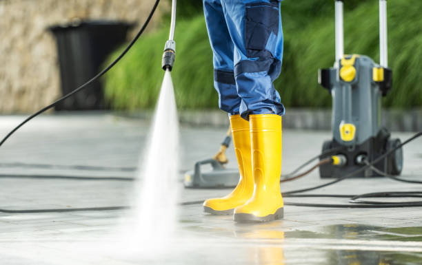 Best Pressure Washing Near Me  in Northview, MI
